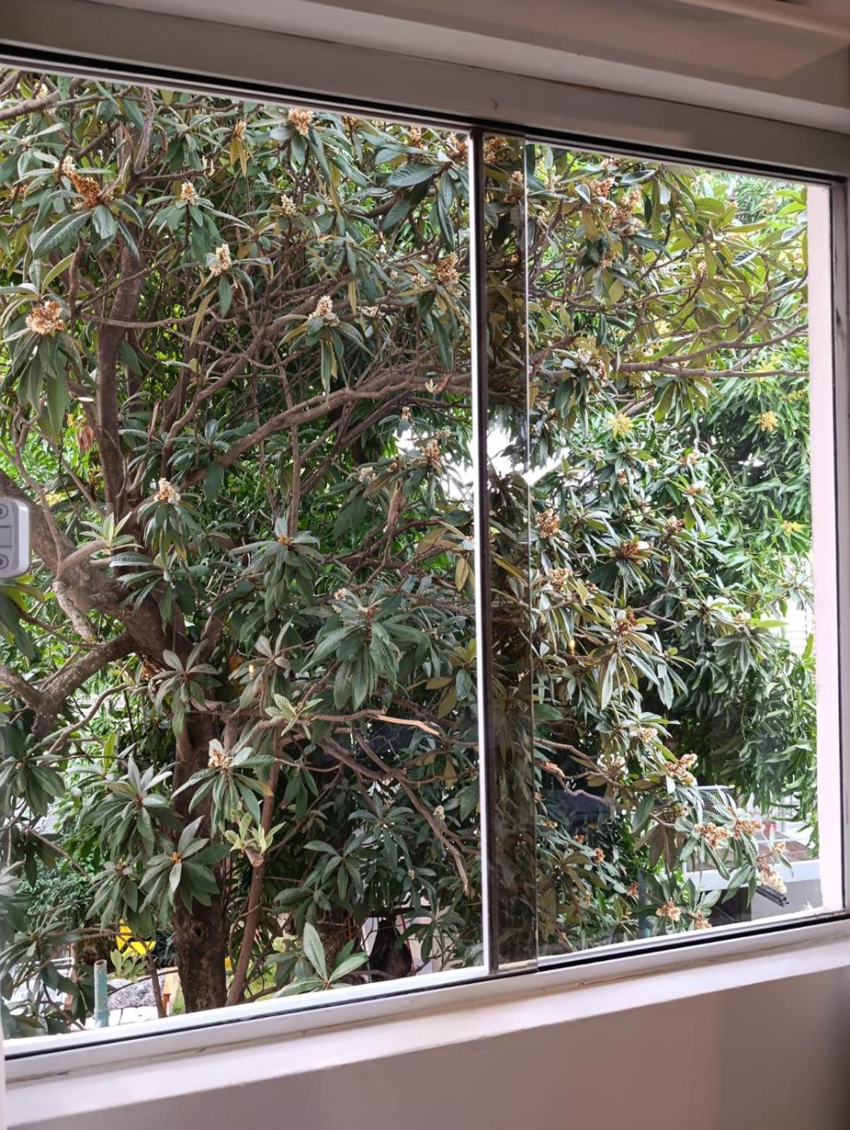 Taguato Assunção Exterior foto